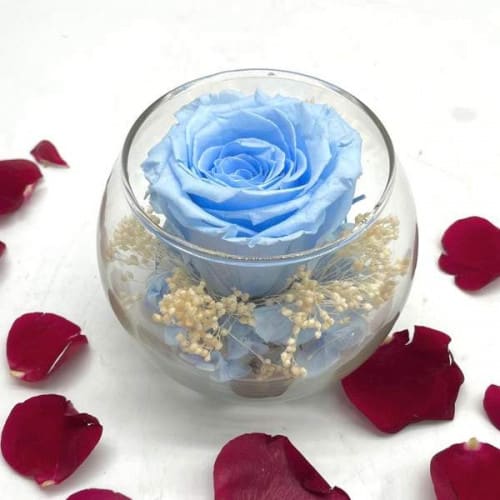 Reflet Baby Blue